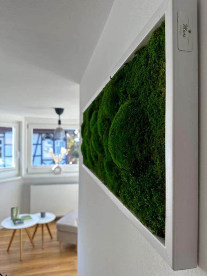 Turm.Blick Apartment Goslar Exterior foto