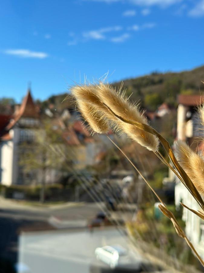 Turm.Blick Apartment Goslar Exterior foto