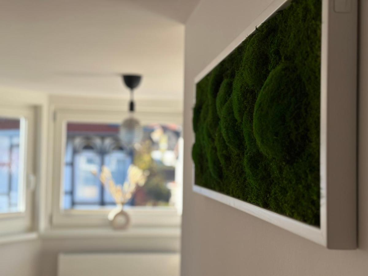 Turm.Blick Apartment Goslar Exterior foto